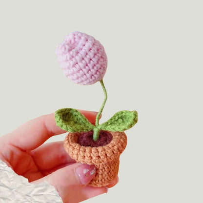KnitPetal™ – Handmade Mini Rose Pots